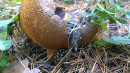 WP_20171019_0022.jpg