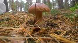 WP_20171020_0011.webp