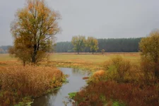 IMG_5637.webp