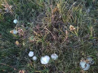 IMG_20171022_165908.webp