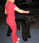 IMG_0036.webp