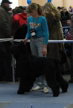 IMG_0047.webp