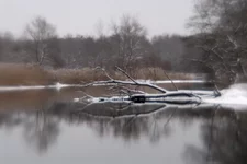 JKR_7365.webp