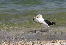 IMG_0312w.webp