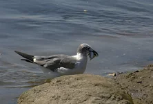 IMG_7077w.jpg