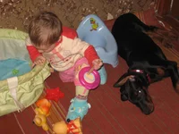  005.webp