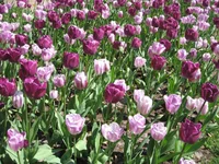 1 217.webp