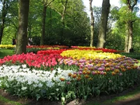 1 324.webp