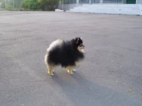 P1010269.webp