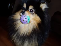 P1010314.webp