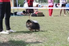  2484.webp