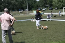  2497.webp