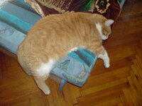 DSC00030.jpg