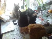DSC00307.jpg