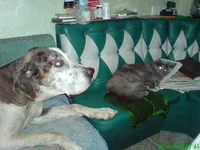 DSC00663.webp