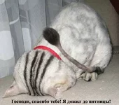 friday_19.webp