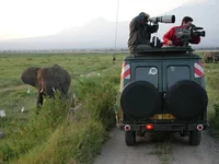 look-behind-photographers-safari.webp