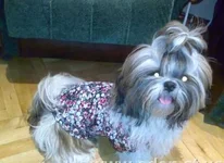 в футболочке_1.webp