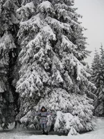 IMG_8522.JPG
