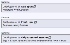 .webp