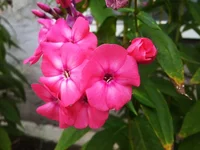IMG_2017-10-19_135440.webp