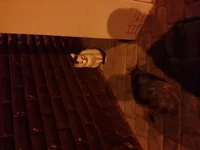 20160915_221231.webp
