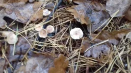 20171104_075751.jpg