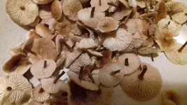20171104_113004.jpg