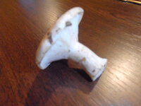 P1010002.jpg