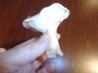 P1010003.webp