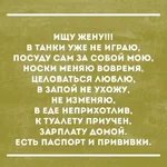 OqA8D_ZfSiQ.webp
