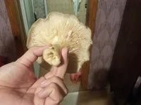 20171112_223844.jpg