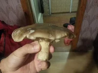 20171112_223850.jpg