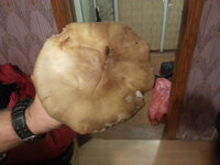 20171112_223855.jpg