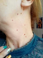 image-0-02-05-0d1e69404f5e8b2bdaf9e571eda8980baa2e250a51980177d1a2aea3fdd5dfc0-V.jpg