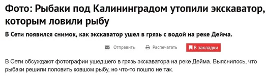 scr.webp