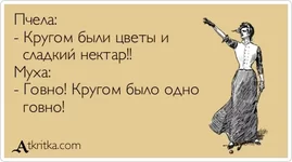 atkritka_1377089654_370.webp