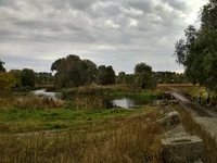 IMG_20171008_141616_HDR.webp