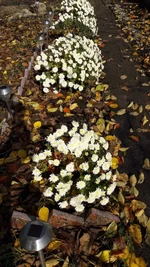 20171112_105326.webp