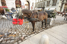 Wien (10).jpg