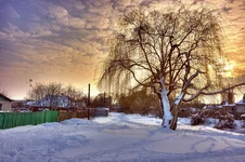 DSC_8218+2_+1_-0_-1_-2_tonemapped_измен.размер.webp