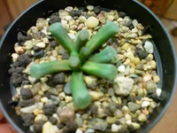 DSC03026.webp