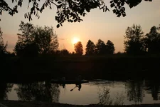 003.webp