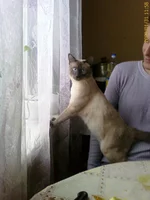 200901311158_00021.webp
