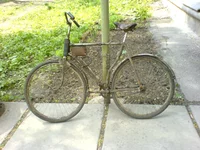 DSC00199.webp