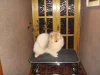 DSC01807.webp
