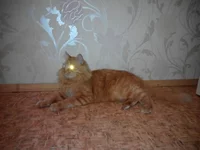 image-0-02-05-8dadc3f462678e6e64f9a813c6d34202a4b6efef5bd78d2bd2dad79f0898e5a7-V.webp