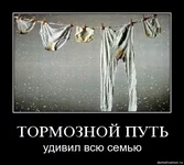 1457149274121836601.webp