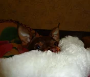 image322к4.webp