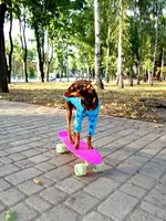 DSC00436.webp